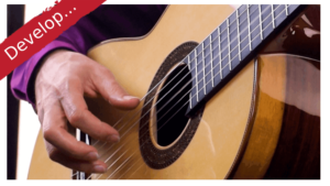 Brazilian Guitar Techniques